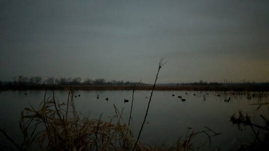 Hunting the Sandusky Bay