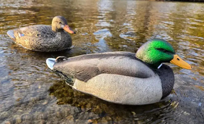Duck Fulls N FloatsCreate the Ultimate Spread with Full-Bodies and Floaters When realism is the name of the game, full-body decoys and floaters are the tools you need. At The Fowl Depot, we offer a variety of full-body duck decoys and floaters designed fo