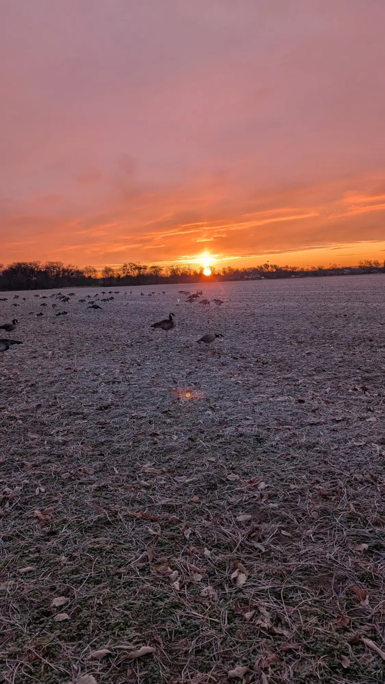 Goose FlatsWhen it comes to goose hunting, versatility and portability are game-changers. That’s why we offer a premium selection of silhouettes and flat decoys from trusted brands like Real Geese Decoys. These lightweight, easy-to-carry options are perfe
