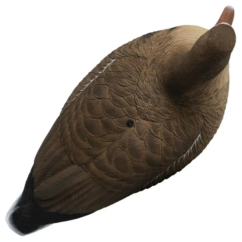 Prepare for hunting season with our durable Rugged Series Specklebelly decoys, featuring FowlFlex™ Technology for lasting performance. | Rugged Series Full Body Specklebelly 6-pack