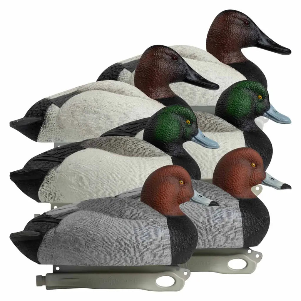 Diver Duck Hunter Starter Kit – Essential Gear for Success Get ready for a successful duck hunt with the Diver Duck Hunter Starter Kit, featuring must-have gear to bring more birds into your spread. This kit includes: Floater Decoys(Hardcore Waterfowl) 1/