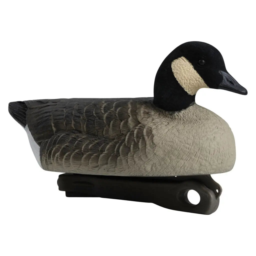 Diver Duck Hunter Starter Kit – Essential Gear for Success Get ready for a successful duck hunt with the Diver Duck Hunter Starter Kit, featuring must-have gear to bring more birds into your spread. This kit includes: Floater Decoys(Hardcore Waterfowl) 1/