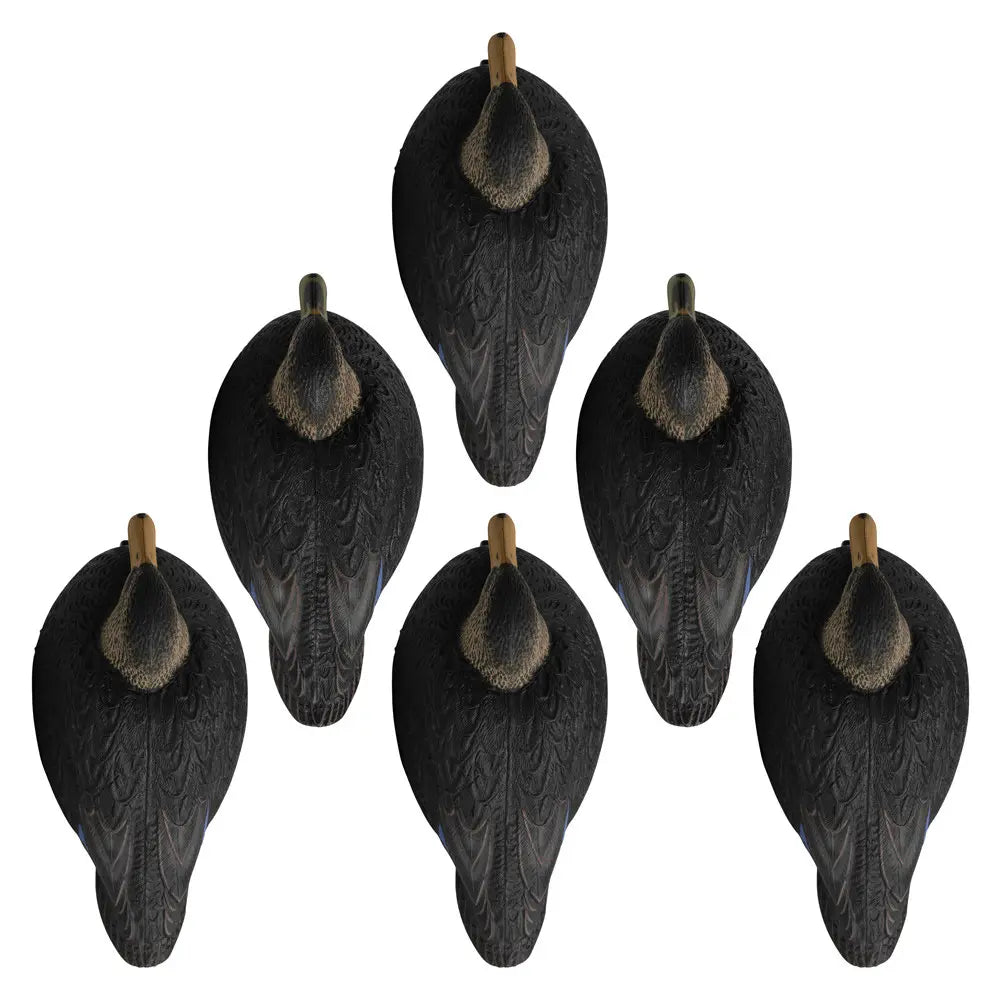 Marsh Duck Hunter Starter Kit – Essential Gear for Success Get ready for a successful duck hunt with the Marsh Duck Hunter Starter Kit, featuring must-have gear to bring more birds into your spread. This kit includes 1/2 DZN Rugged Series Standard Mallard
