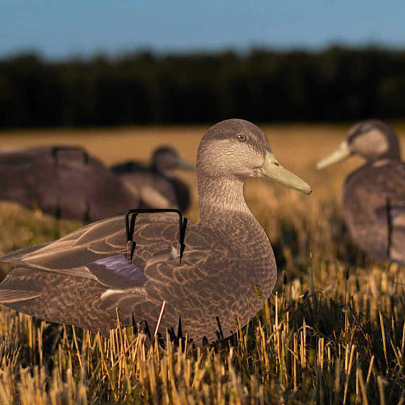 ur Econo Black ducks silhouette decoys are made of a lightweight corrugated plastic material with our fabric on both sides. Printed with a detailed feather pattern, using a dead flat finish. A unique, double wire staking system helps with structural integ