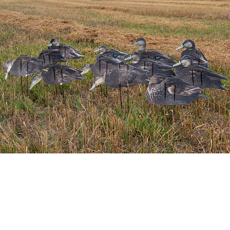 ur Econo Black ducks silhouette decoys are made of a lightweight corrugated plastic material with our fabric on both sides. Printed with a detailed feather pattern, using a dead flat finish. A unique, double wire staking system helps with structural integ
