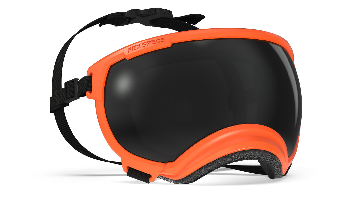 Rex Specs Goggles provide stable, secure eye protection for your dog. Rex Specs are used by professional working dogs deploying from helicopters, simple sunny day strollers, bird flushing hunting dogs and motorcycle-riding pup alike. Wherever and whatever