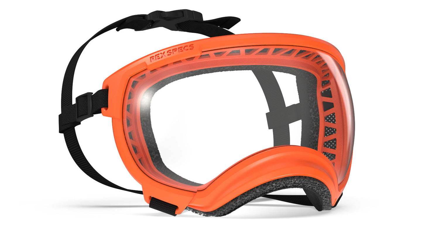 Rex Specs Goggles provide stable, secure eye protection for your dog. Rex Specs are used by professional working dogs deploying from helicopters, simple sunny day strollers, bird flushing hunting dogs and motorcycle-riding pup alike. Wherever and whatever