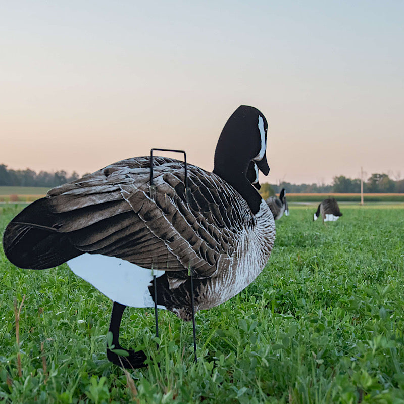 Featuring the cloth you remember from the Pro Series 2 Decoys, with a material based off the Xclipse series. These offer a lightweight clothed full color decoys for your spread. These decoys will come with wire stakes but have the option to have wood stak