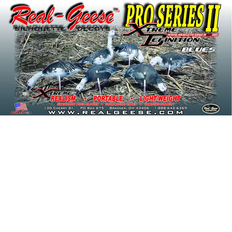 Successfully hunting Blue geese calls for extreme measures. So when Blue goose hunters asked for Blue Goose decoys that would rival our Pro Series II Canada decoys we answered with the “Xtreme Definition” Pro Series II Blue goose decoys! The benefits of u
