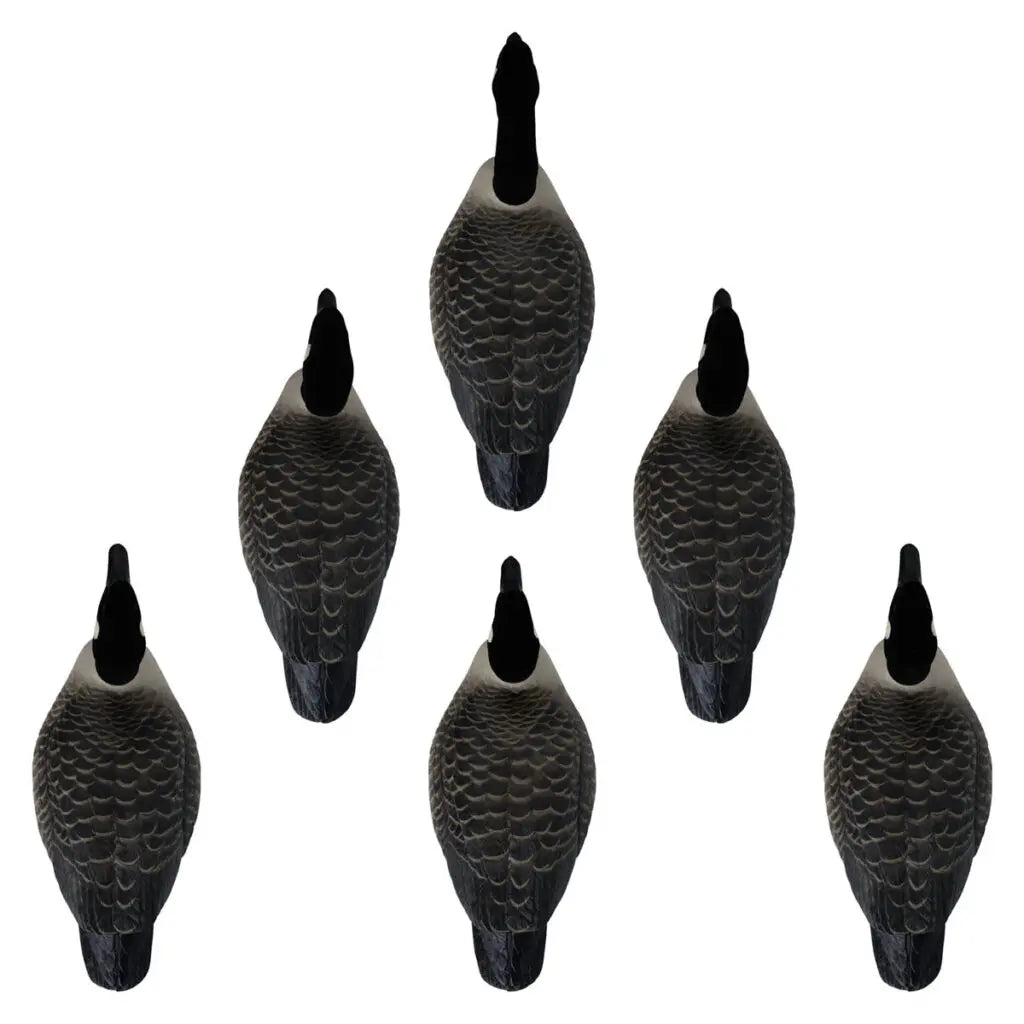 These lifelike decoys are designed to bring your goose spread to life with their realistic feather detail and innovative WhaleTail keel, ensuring convincing lifelike movement. The pack includes a variety of decoy poses for added versatility, consisting of