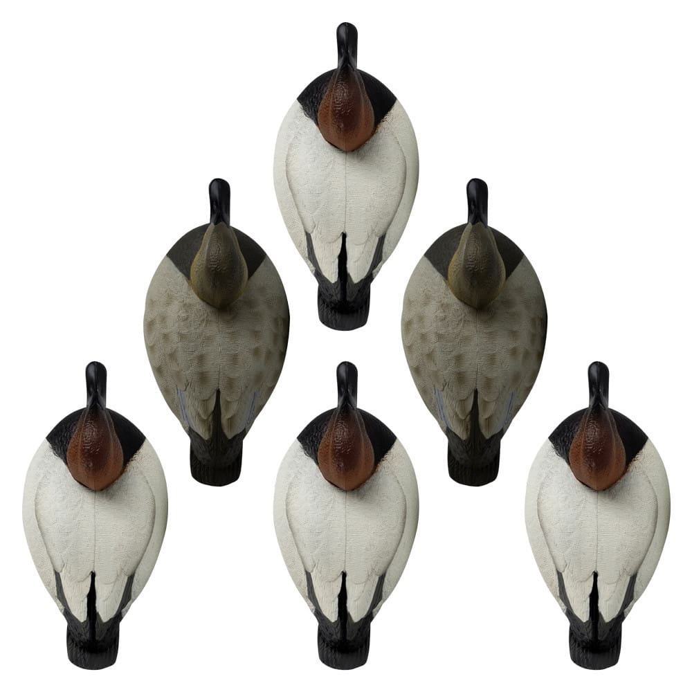 Unleash the true potential of your waterfowl hunting with Rugged Series Canvasback Foam Filled Decoys. Crafted to withstand diverse conditions, these foam-filled decoys combine realism and durability. True-To-Life Drake and Hen Paint Schemes capture the e