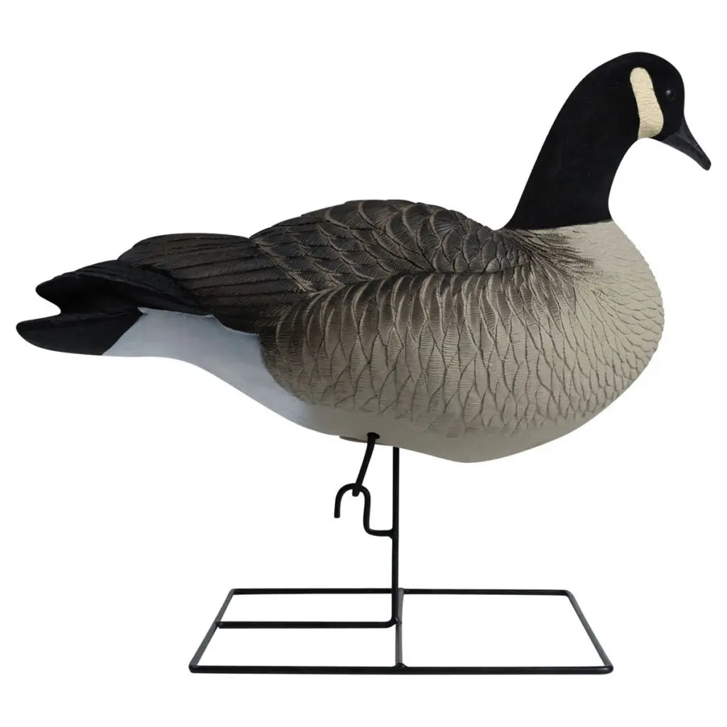 Hardcore’s commitment to excellence shines through in our Rugged Series Full Body Canada Goose Touchdown Decoys with Flocked Heads. With a relentless dedication to meeting customer demands, we’ve crafted decoys worthy of the Hardcore name. These one-piece