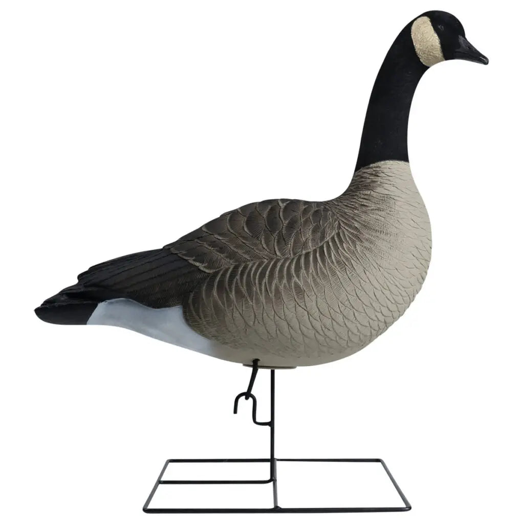 Hardcore’s commitment to excellence shines through in our Rugged Series Full Body Canada Goose Touchdown Decoys with Flocked Heads. With a relentless dedication to meeting customer demands, we’ve crafted decoys worthy of the Hardcore name. These one-piece