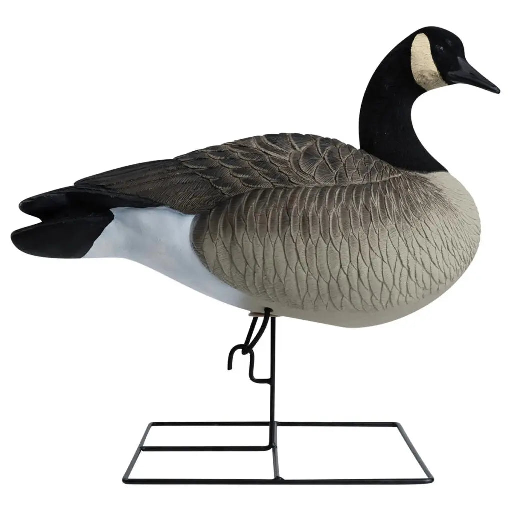 Hardcore’s commitment to excellence shines through in our Rugged Series Full Body Canada Goose Touchdown Decoys with Flocked Heads. With a relentless dedication to meeting customer demands, we’ve crafted decoys worthy of the Hardcore name. These one-piece