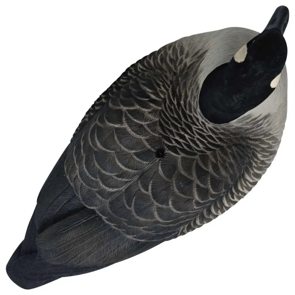 Hardcore’s commitment to excellence shines through in our Rugged Series Full Body Canada Goose Touchdown Decoys with Flocked Heads. With a relentless dedication to meeting customer demands, we’ve crafted decoys worthy of the Hardcore name. These one-piece