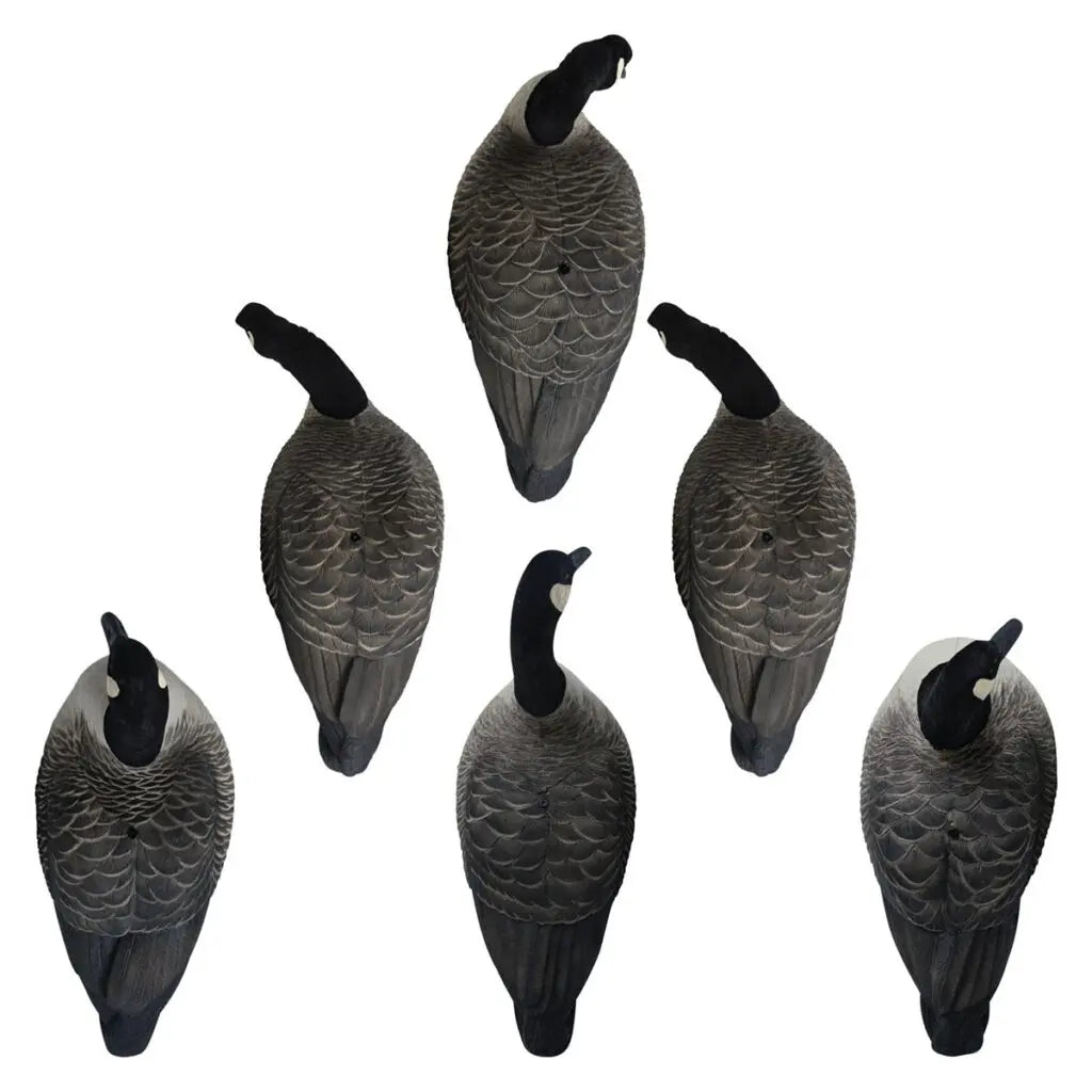 Hardcore’s commitment to excellence shines through in our Rugged Series Full Body Canada Goose Touchdown Decoys with Flocked Heads. With a relentless dedication to meeting customer demands, we’ve crafted decoys worthy of the Hardcore name. These one-piece