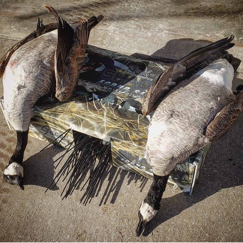 NEW Shadow Box holds 3 dozen Shadow Series Decoys. Boxes are priced per quantityReal Geese DecoysThe Fowl DepotShadow Series Box