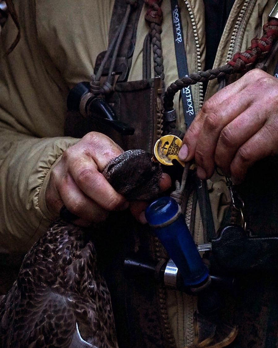 Bird hunting made quick, clean, and Humane! Adrenal Line has invented a remarkable alternative to the out-of-date and inhumane techniques that can damage or destroy your trophy bird. The Finisher® is a patented device that has been successfully tested in