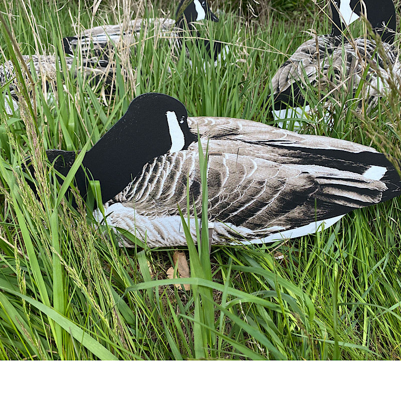 Ultimate Waterfowl Bundle – All The Gear You Will Need Get ready for a successful duck hunt with the Ultimate Waterfowl Bundle, featuring must-have gear to bring more birds into your spread. This kit includes: Silhouettes (Real Geese Decoys) 6 DZN Real Ge
