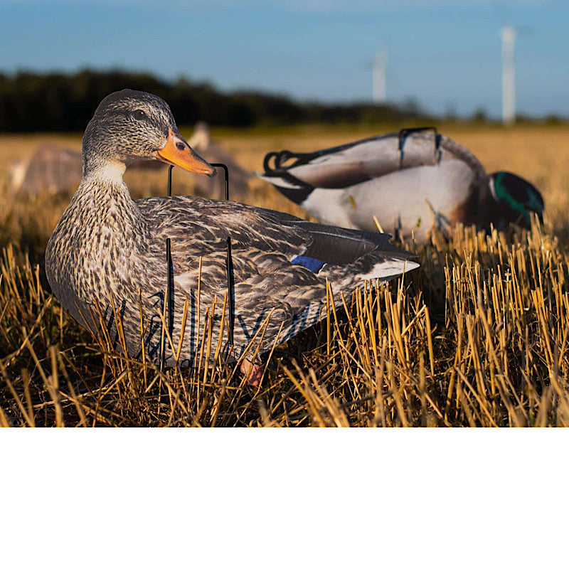 Ultimate Waterfowl Bundle – All The Gear You Will Need Get ready for a successful duck hunt with the Ultimate Waterfowl Bundle, featuring must-have gear to bring more birds into your spread. This kit includes: Silhouettes (Real Geese Decoys) 6 DZN Real Ge