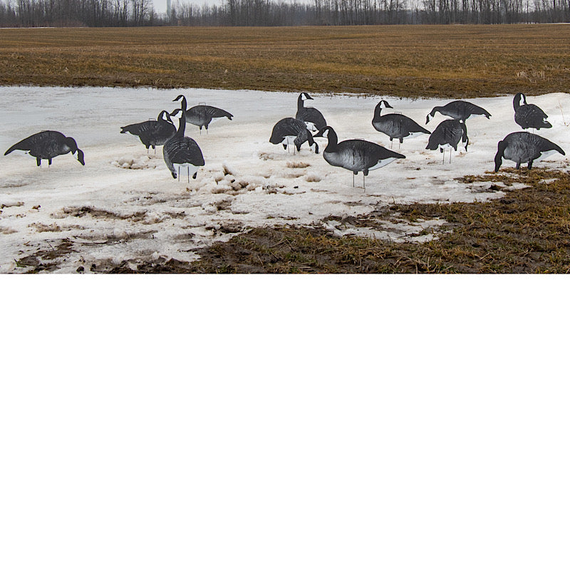 ***IN STOCK*** The Xclipse Upright is our newest addition to the Real Geese Shadow Series. This is our next step in affordable Custom Silhouettes. Not only is this the first decoy in our Shadow series that embodies our Patented, non-reflective, textured s