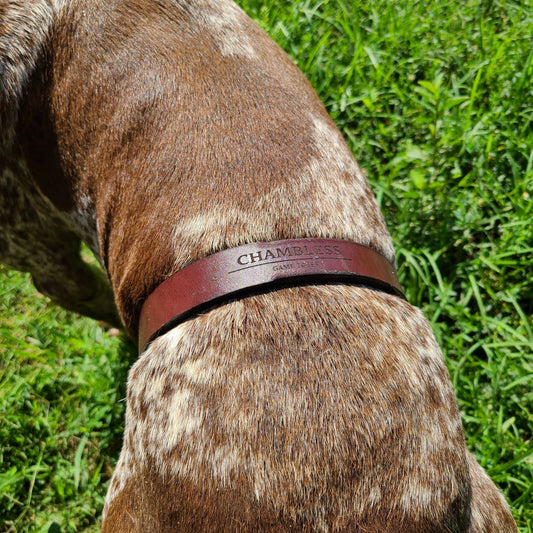 Gear Up Your Hunting Companion with The Fowl Depot’s Gun Dogs Collection