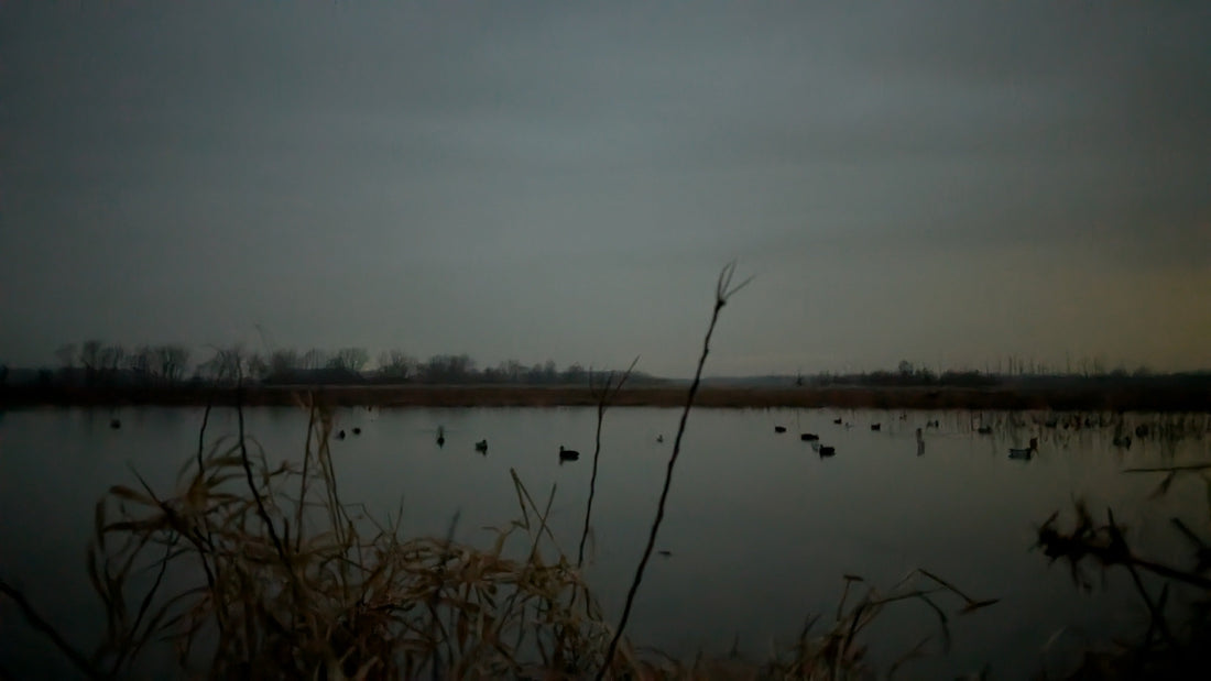 Hunting the Sandusky Bay