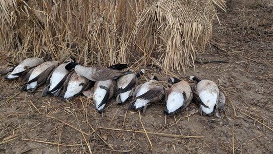 Early Season Honker Tips