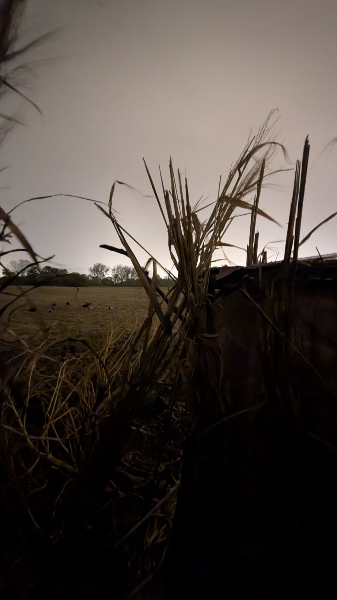 🦆 Gear Up for the Season: Top Calls and Field Supplies from The Fowl Depot