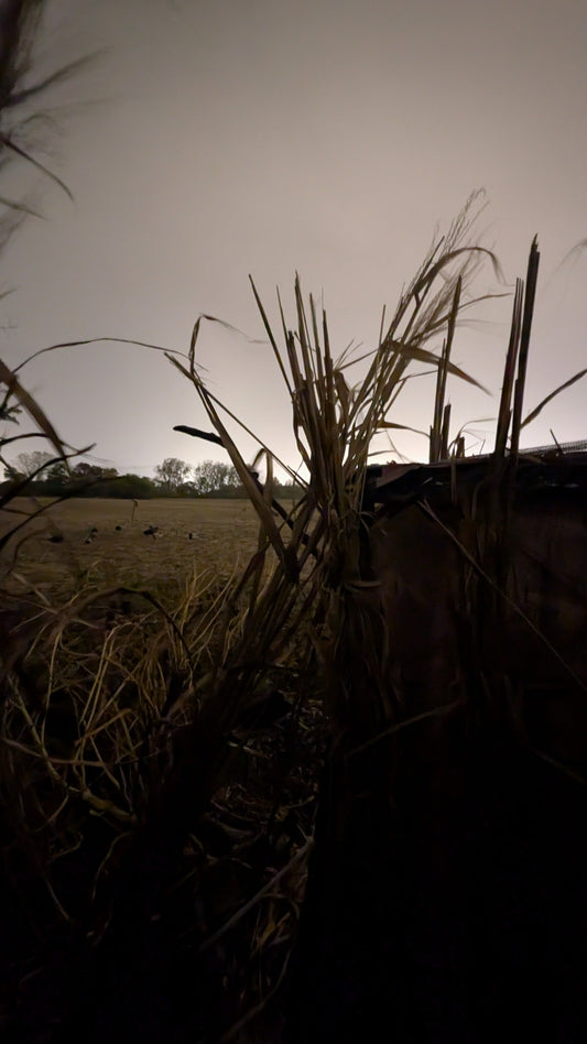 🦆 Gear Up for the Season: Top Calls and Field Supplies from The Fowl Depot