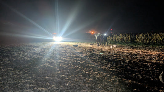 Late Season Waterfowl Hunting: Strategies, Gear, and Why It’s Worth the Cold