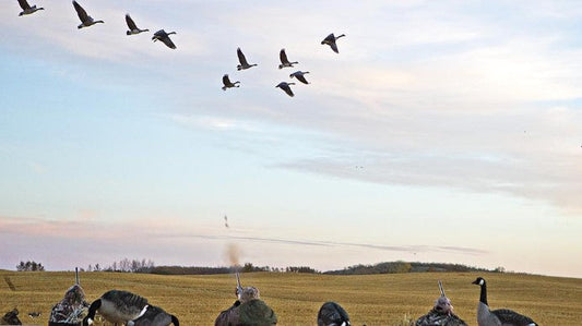 Big Duck & Goose Season Is Kicking Off — Are You Ready?
