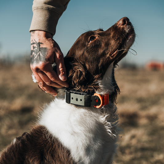Why The Fowl Depot is Backing Hoss Straps