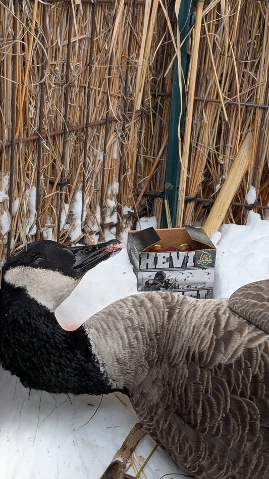 Mastering Late Season Goose Hunting in Northern Ohio