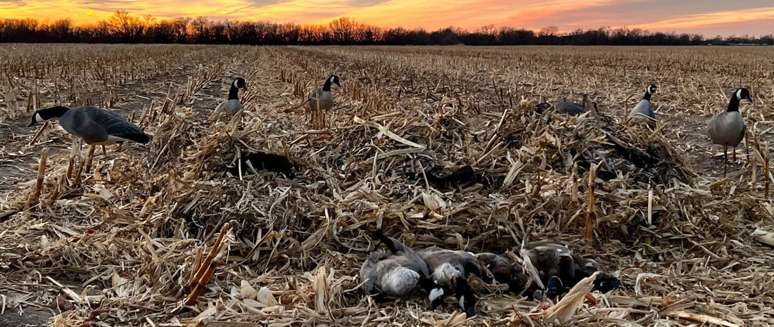Top Gear Picks from The Fowl Depot: The Ultimate Waterfowl Hunting Product Guide