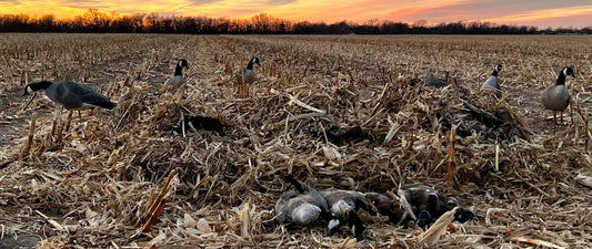 Top Gear Picks from The Fowl Depot: The Ultimate Waterfowl Hunting Product Guide