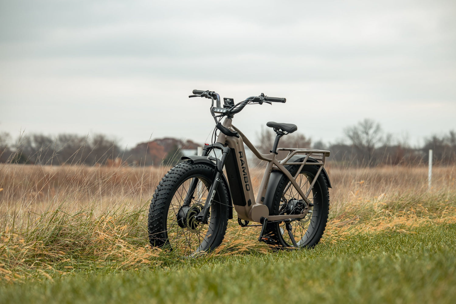 E Bikes