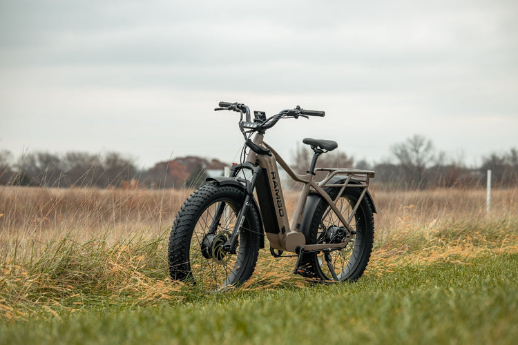 E Bikes
