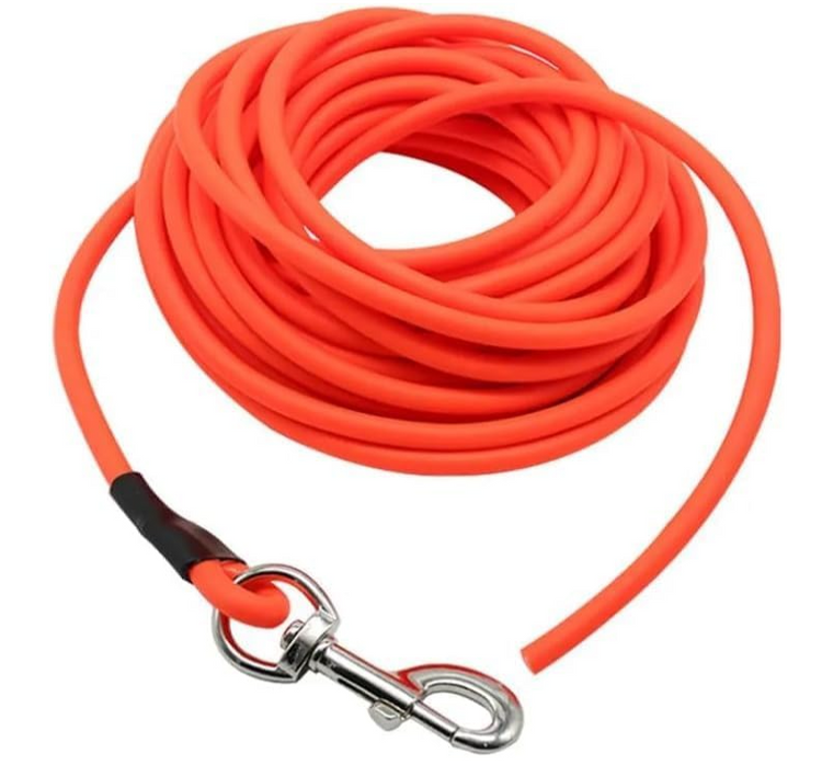 Leashes + Leads