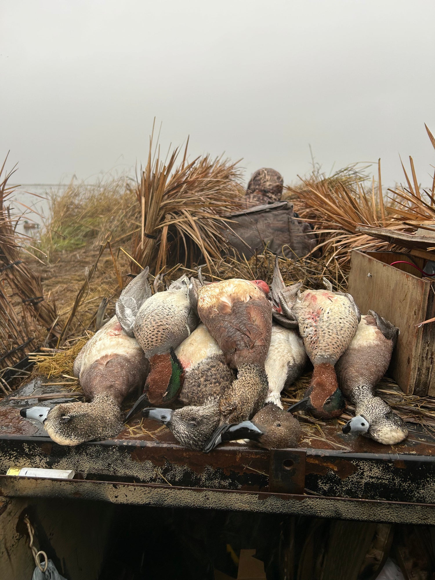 Duck Fulls N FloatsCreate the Ultimate Spread with Full-Bodies and Floaters When realism is the name of the game, full-body decoys and floaters are the tools you need. At The Fowl Depot, we offer a variety of full-body duck decoys and floaters designed fo