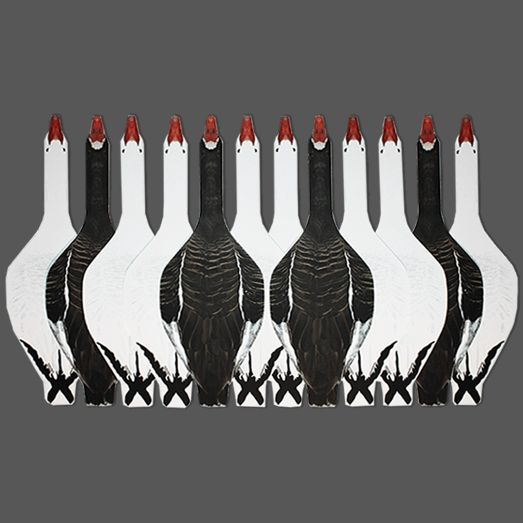 Top Down Decoys