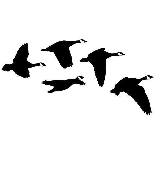 Canadian Geese Decal - Perfect Side View Design for Your Space (2039)