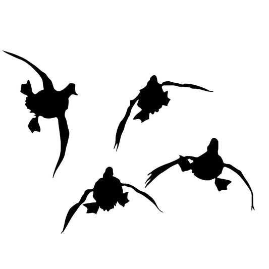 4 Ducks Comin' at Ya Decal – 4 Ducks Comin' at Ya Sticker – 5010