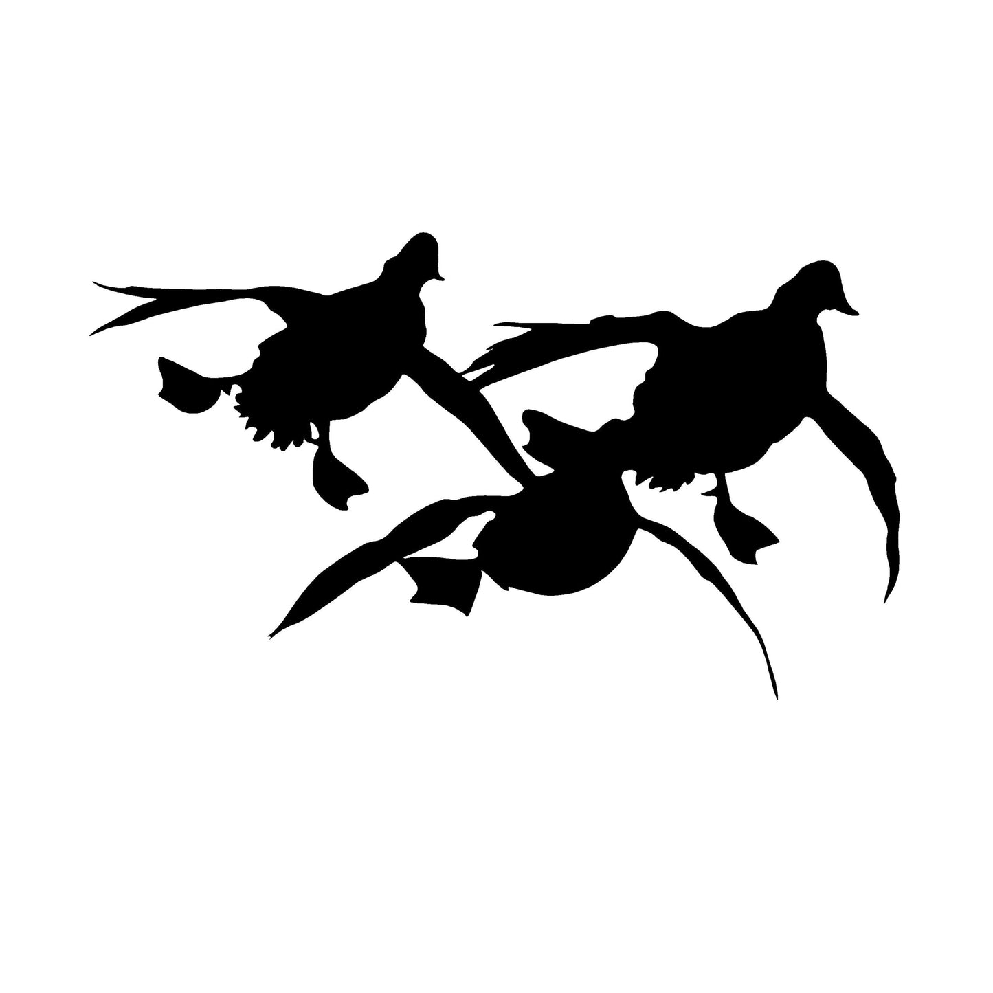 3 Ducks Comin' at Ya Decal – 3 Ducks Comin' at Ya Sticker – 5011