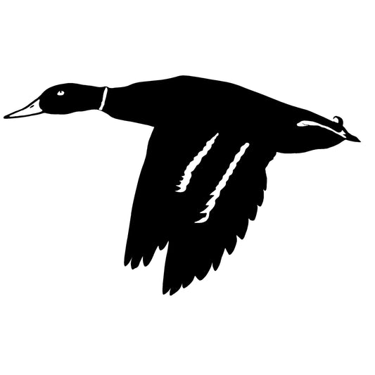 Mallard in Flight Decal – Mallard in Flight Sticker – 5039