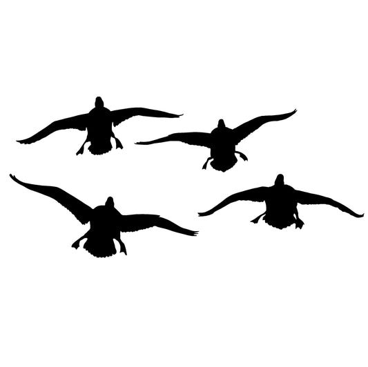 4 Ducks Coming at Ya Decal – 4 Ducks Coming at Ya Sticker – 5053