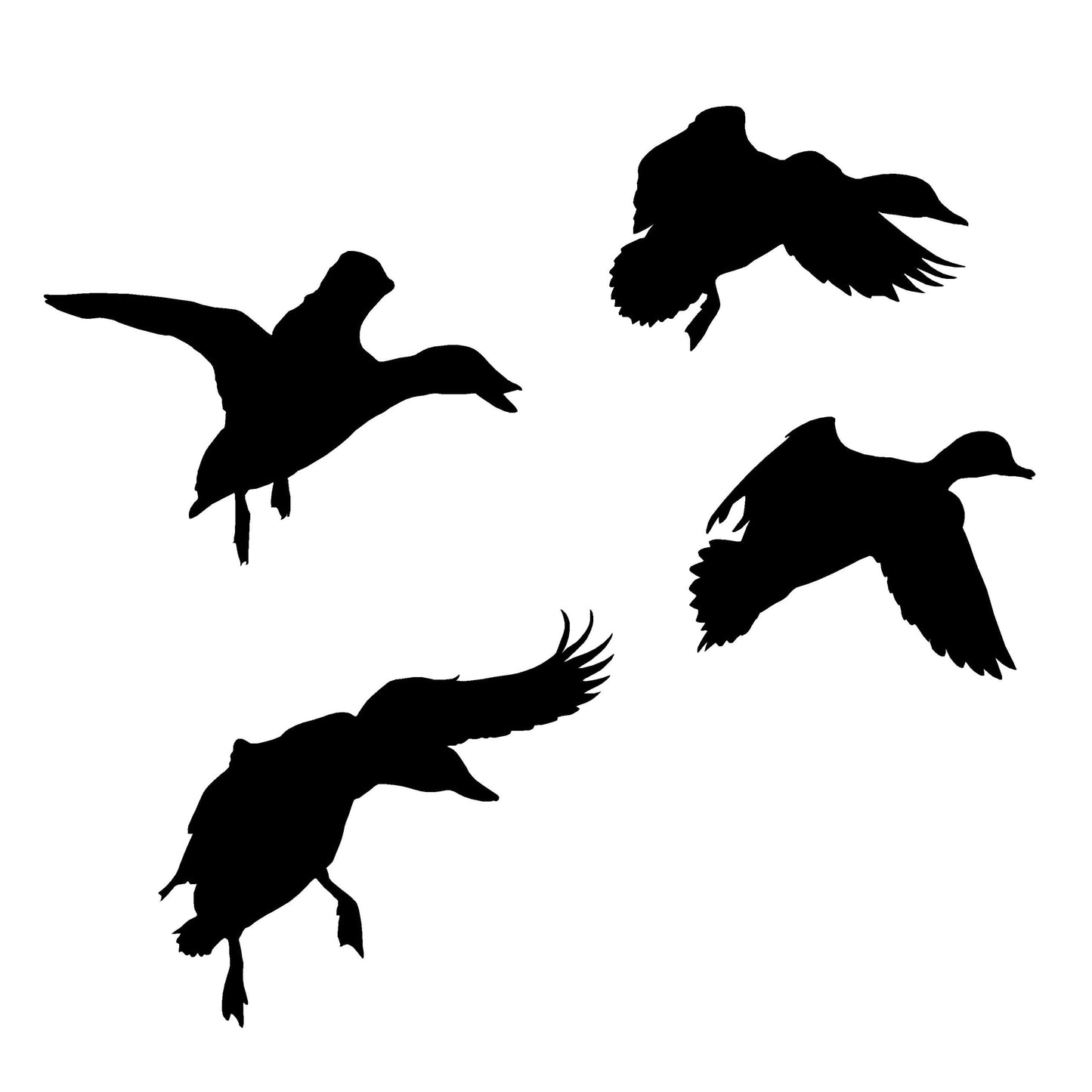 4 Ducks Comin' at Ya Decal – 4 Ducks Comin' at Ya Sticker – 5060