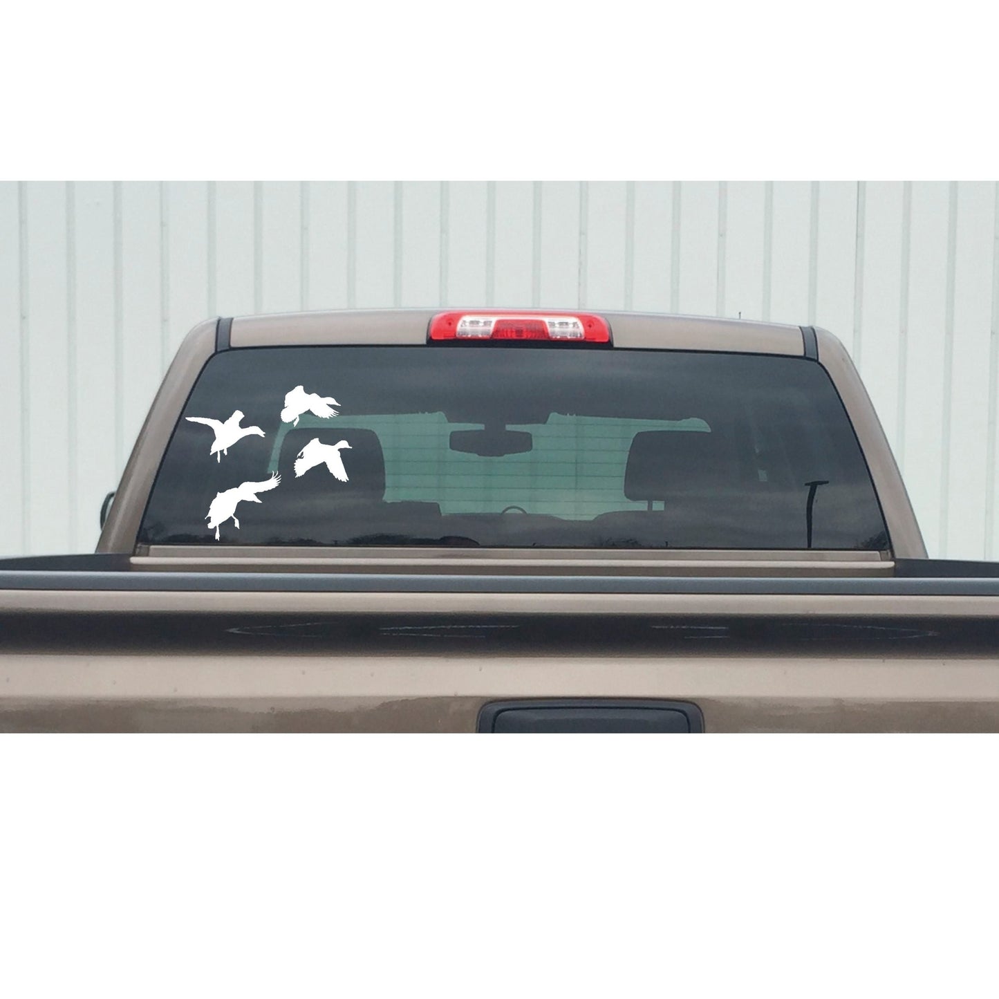 4 Ducks Comin' at Ya Decal – 4 Ducks Comin' at Ya Sticker – 5060