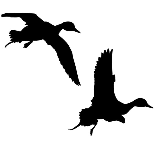 Pair of Bulls Pintails Decal – Pair of Bulls Pintails Sticker – 5061