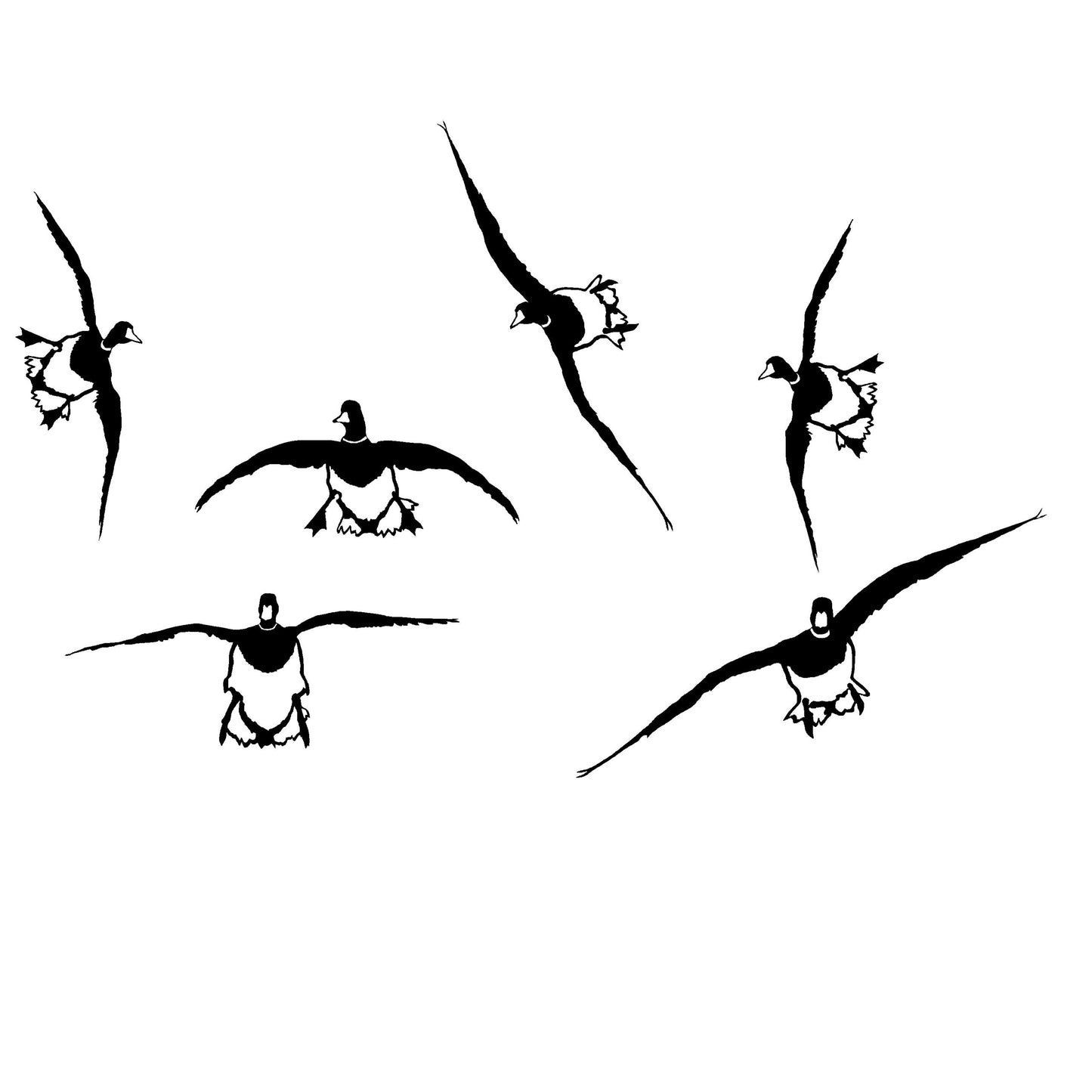 Flock of Mallards Flippin' On In Decal - Flock of Mallards Flippin' On In Sticker – 5104